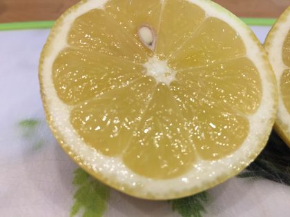 Zitrone (1)
