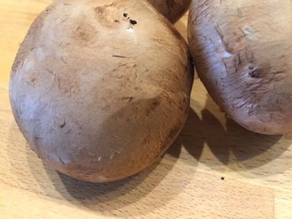 braune Champignons (1) braune Champignons (1)
