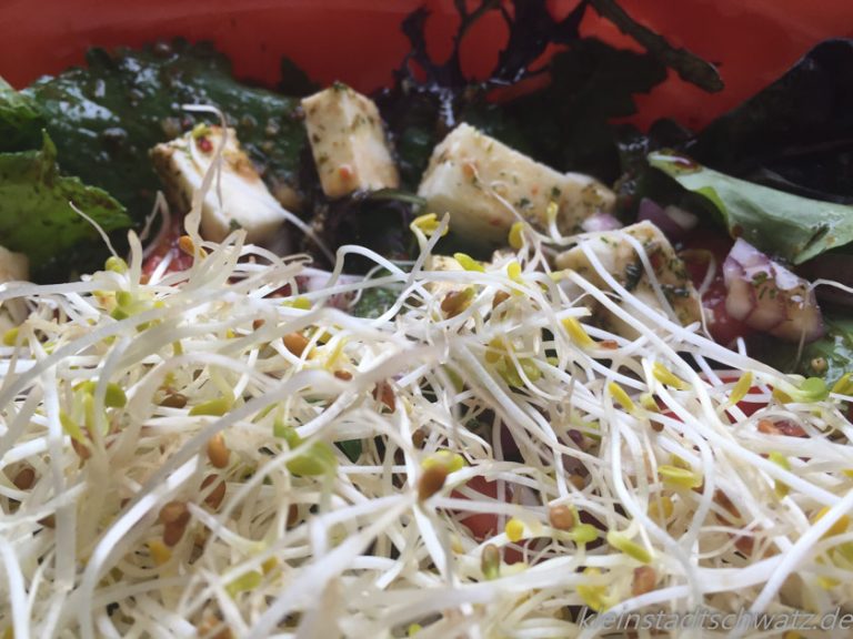 Salat mit Alfalfa-Sprossen Salat mit Alfalfa-Sprossen