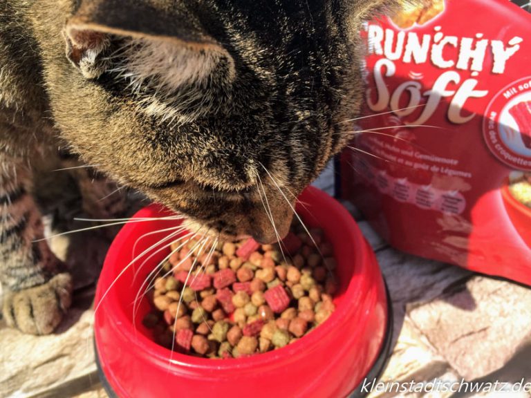 Lili schmeckt auch Crunchy und Soft ganz famos Lili schmeckt auch Crunchy und Soft ganz famos